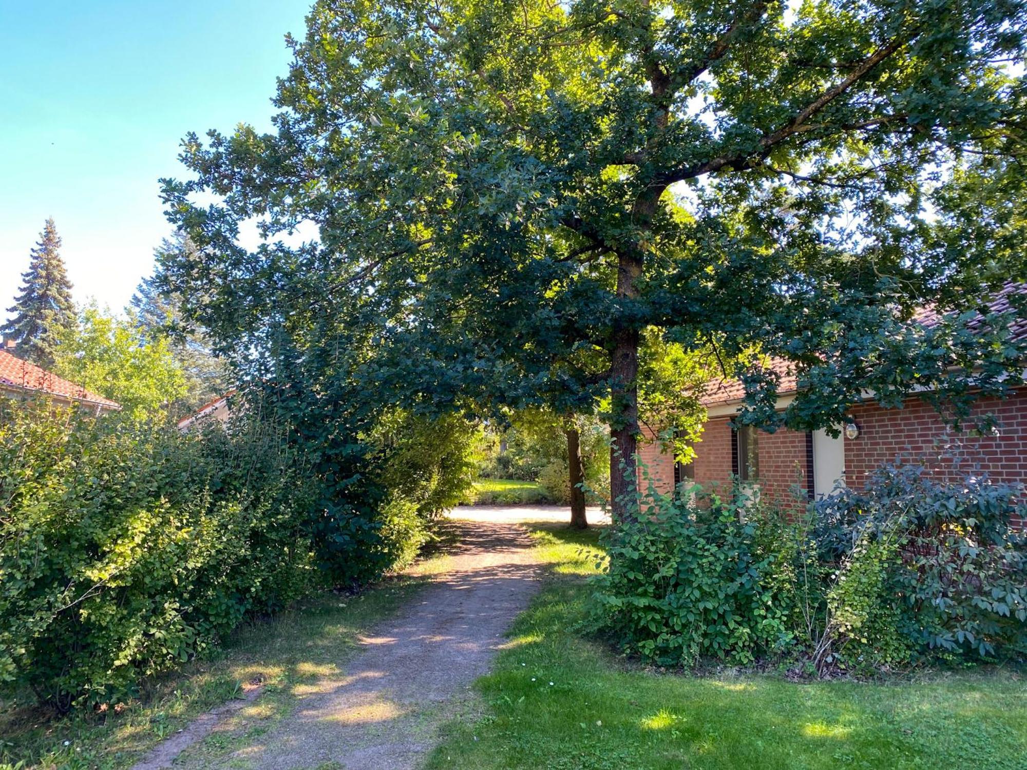 Ferienhaus Wiesengefluester W10 - Mit Sauna, Kamin Und Garten Röbel Esterno foto